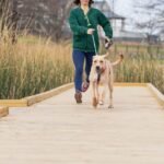 A Simpler Approach to Boost Your Dog's Digestive Health: Probiotic Chew