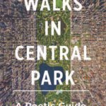 An Hour in Central Park: A Quick Escape in Manhattan's Core