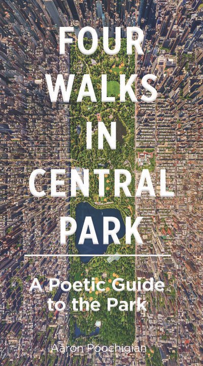 An Hour in Central Park: A Quick Escape in Manhattan's Core