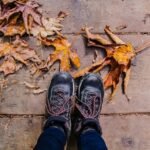 Spring Forward Into Harmony