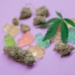 Recognition of Medical Cannabis in the UK Health and Wellness Sector