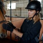 The Significance of Bridles in Equestrianism