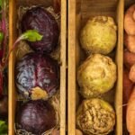Vikki Nicolai La Crosse Reveals Tips for Planning Holiday Recipes Featuring the Finest Organic Seasonal Vegetables